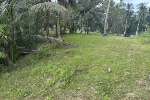 Земельный участок в Сураттхани, Таиланд № 132450 - фото 5