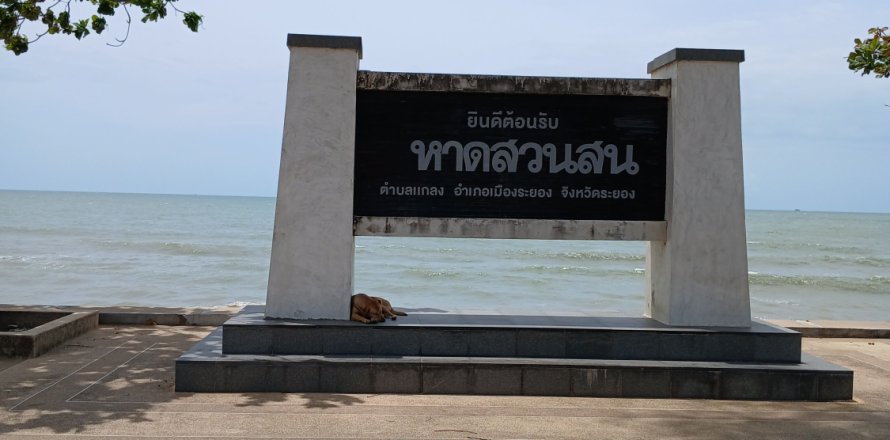 Отель в Клаенге, Таиланд  № 142242