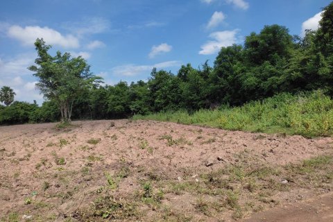 Land in Nakhon Ratchasima, Thailand 41424 sq.m. № 141668 - photo 2