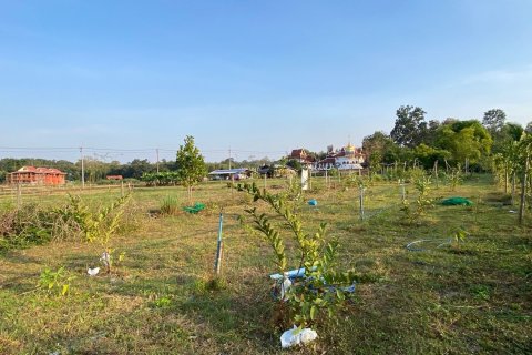 Дом в Чиангмае, Таиланд с 4 спальнями  № 80877 - фото 23