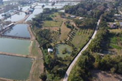 Land in Chiang Rai, Thailand 120 sq.m. № 104702 - photo 1