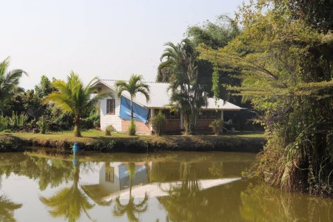 Land in Chiang Rai, Thailand 120 sq.m. № 104702 - photo 4