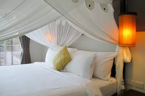 Townhouse à Phuket, Thaïlande 3 chambres № 130032 - photo 7