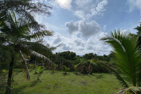 Вилла в Чиангмае, Таиланд с 4 спальнями  № 79355 - фото 10