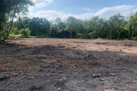 Земельный участок в Самуи, Таиланд  № 123102 - фото 6