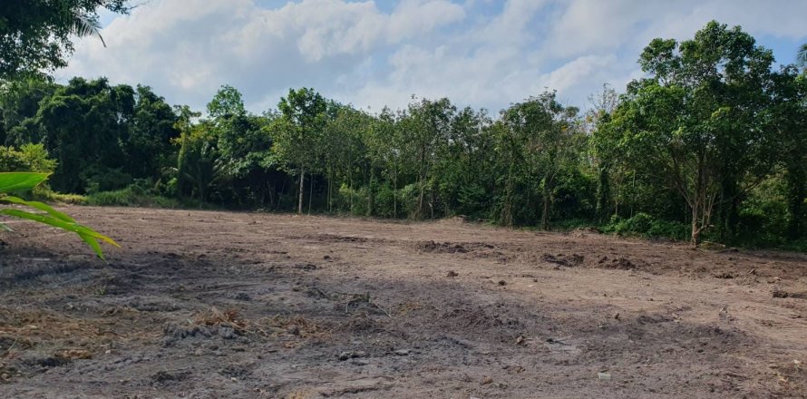 Земельный участок в Самуи, Таиланд  № 123102