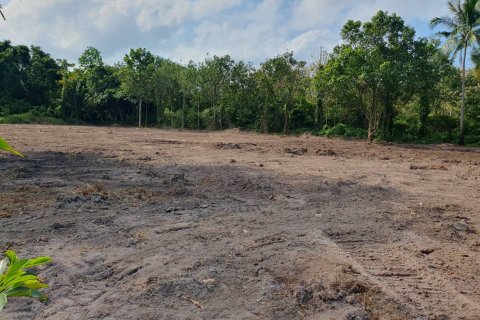 Земельный участок в Самуи, Таиланд  № 123102 - фото 2