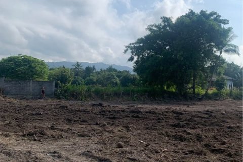 Земельный участок в Самуи, Таиланд  № 123102 - фото 7