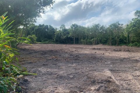 Земельный участок в Самуи, Таиланд  № 123102 - фото 5