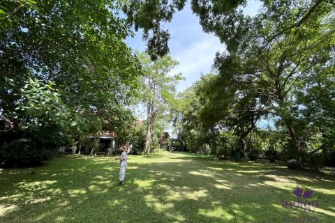 Maison à Chiang Mai, Thaïlande 9 chambres № 104388 - photo 25