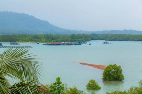 Студия в кондо в Банг Тао, Таиланд № 85701 - фото 6