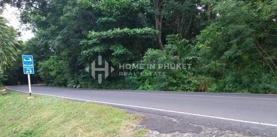 Land in Rawai, Thailand № 133157