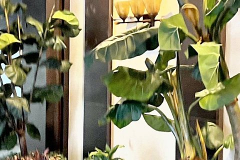 Condo à Bangkok, Thaïlande, 2 chambres  № 86804 - photo 4