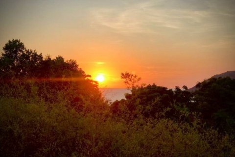 Villa à Rawai, Thaïlande 10 chambres № 101944 - photo 10