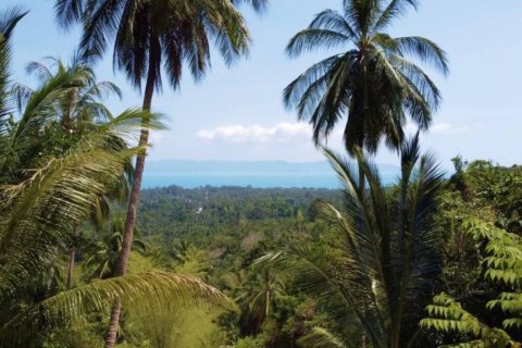 Земельный участок в Сураттхани, Таиланд  № 115898 - фото 1