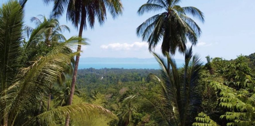 Земельный участок в Сураттхани, Таиланд  № 115898