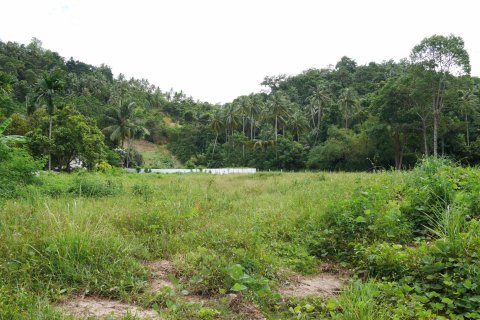 Land in Ko Samui, Thailand № 126827 - photo 9