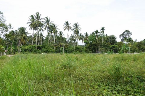 Land in Ko Samui, Thailand № 126827 - photo 11