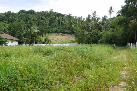 Land in Ko Samui, Thailand № 126827 - photo 5