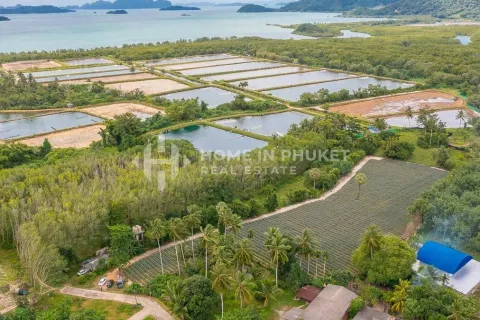 Земельный участок в Пхукете, Таиланд  № 131248 - фото 9