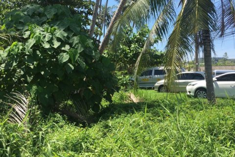 Land in Pa Klok, Thailand 1228 sq.m. № 141457 - photo 6