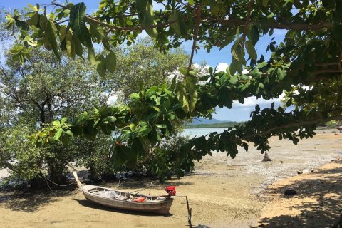 Land in Pa Klok, Thailand 1228 sq.m. № 141457 - photo 15