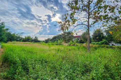 Land in Chiang Mai, Thailand № 126334