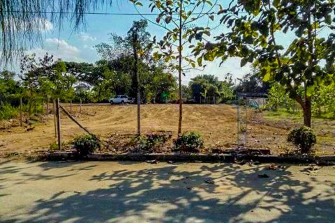 Земельный участок в Чиангмае, Таиланд  № 126334 - фото 9