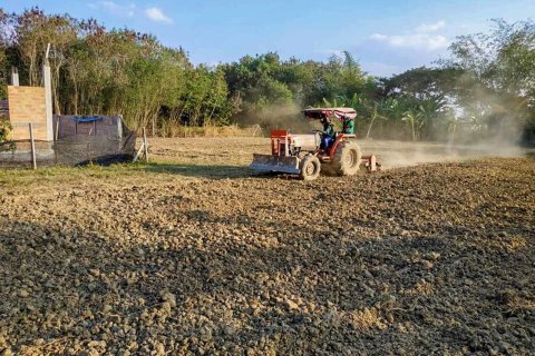 Land in Chiang Mai, Thailand № 126334 - photo 8