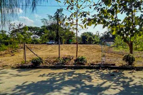 Земельный участок в Чиангмае, Таиланд  № 126334 - фото 9