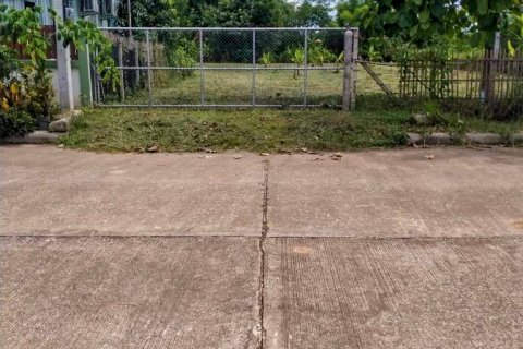 Земельный участок в Чиангмае, Таиланд  № 126334 - фото 10