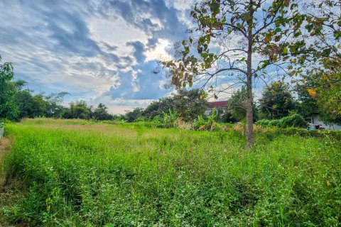 Land in Chiang Mai, Thailand № 126334