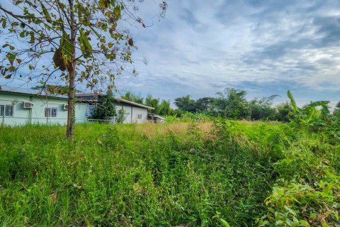 Land in Chiang Mai, Thailand № 126334 - photo 2