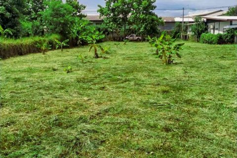 Land in Chiang Mai, Thailand № 126334 - photo 11