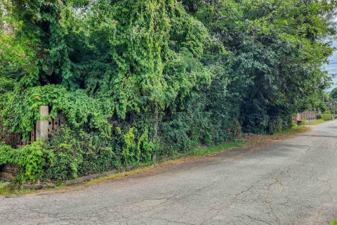 Земельный участок в Чиангмае, Таиланд № 126333 - фото 4