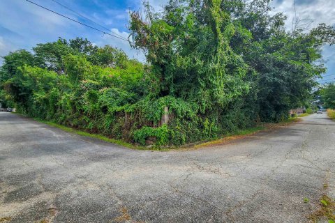 Land in Chiang Mai, Thailand № 126333