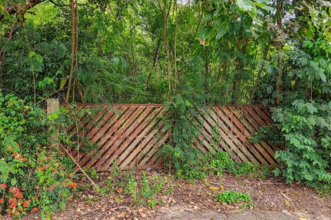 Land in Chiang Mai, Thailand № 126333 - photo 6