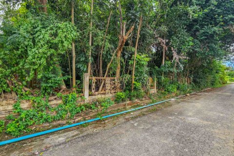 Land in Chiang Mai, Thailand № 126333 - photo 3