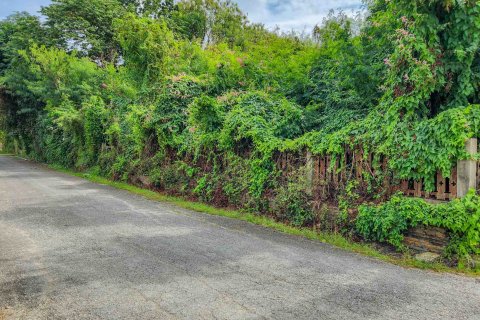 Land in Chiang Mai, Thailand № 126333 - photo 2