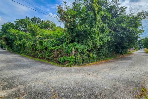 Land in Chiang Mai, Thailand № 126333