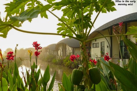 Hôtel à Chiang Mai, Thaïlande 3200 m2 № 126335 - photo 22