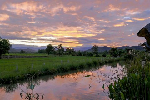 Hôtel à Chiang Mai, Thaïlande 3200 m2 № 126335 - photo 23