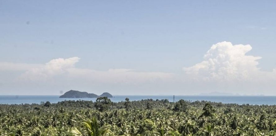 Земельный участок в Сураттхани, Таиланд  № 126620