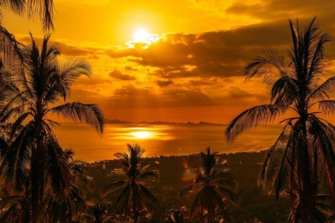 Земельный участок в Сураттхани, Таиланд  № 126620 - фото 4