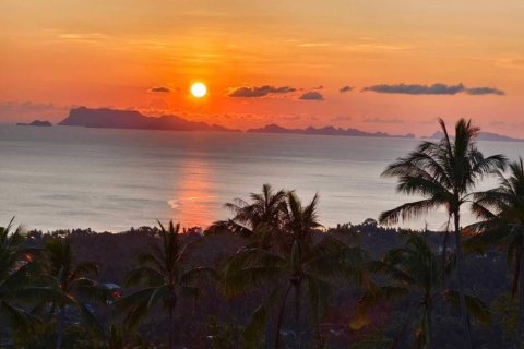 Земельный участок в Сураттхани, Таиланд  № 126620 - фото 7