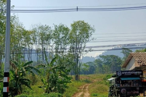 Terrain à Phang Nga, Thaïlande 14400 m2 № 142313 - photo 6