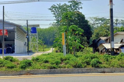 Terrain à Phang Nga, Thaïlande 14400 m2 № 142313 - photo 18