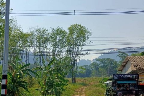 Terrain à Phang Nga, Thaïlande 14400 m2 № 142313 - photo 7