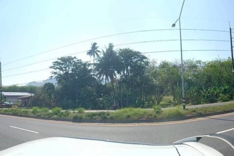 Terrain à Phang Nga, Thaïlande 14400 m2 № 142313 - photo 14
