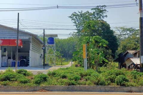 Terrain à Phang Nga, Thaïlande 14400 m2 № 142313 - photo 5